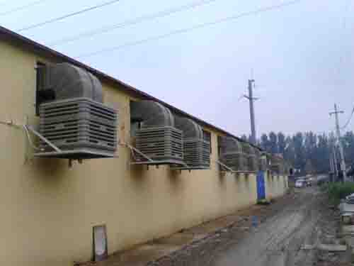 大東方商貿(mào)城冷風(fēng)機安裝案例